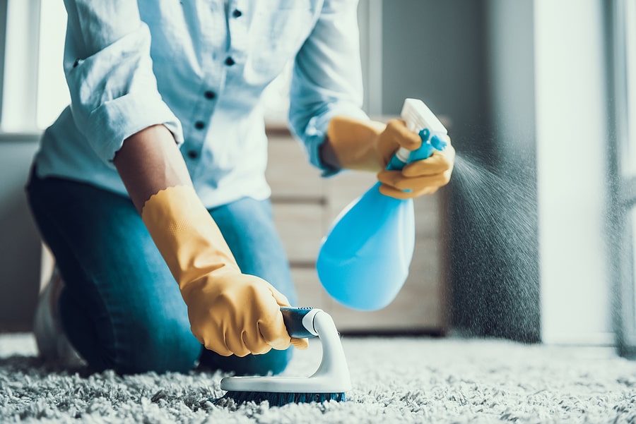 <strong>What Makes The Best Carpet Cleaning Company? Our Top 6 Picks For You</strong>